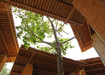 Không gian phục vụ cộng đồng, được làm từ vật liệu địa phương ở Hà Tĩnh-2