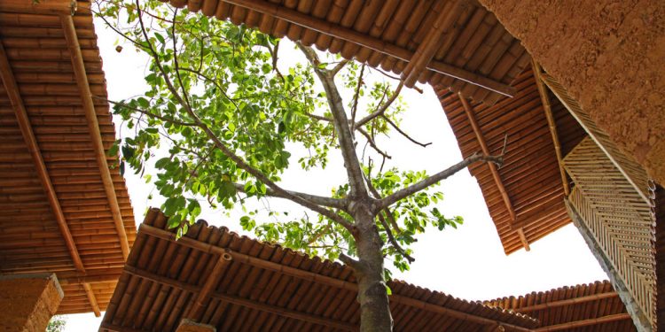 Không gian phục vụ cộng đồng, được làm từ vật liệu địa phương ở Hà Tĩnh-2