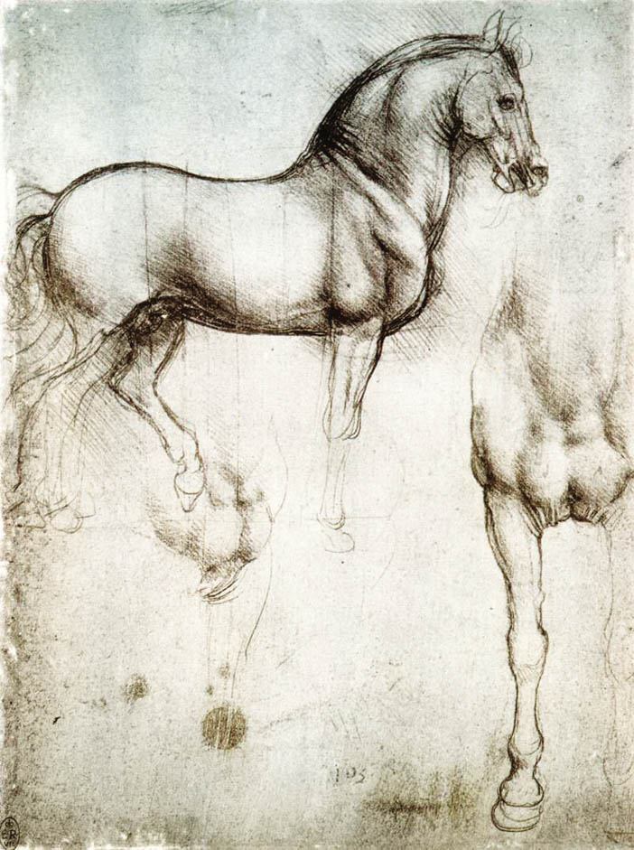 Nghiên cứu về ngựa - phác thảo của Leonardo da Vinci
