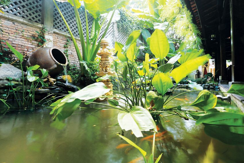 Bể cá cảnh, hồ thủy sinh hợp phong thủy