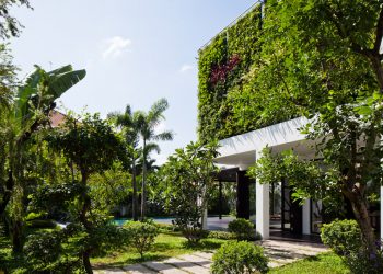 Thảo Điền House – Mê mẩn với vườn tường thẳng đứng tuyệt đẹp 