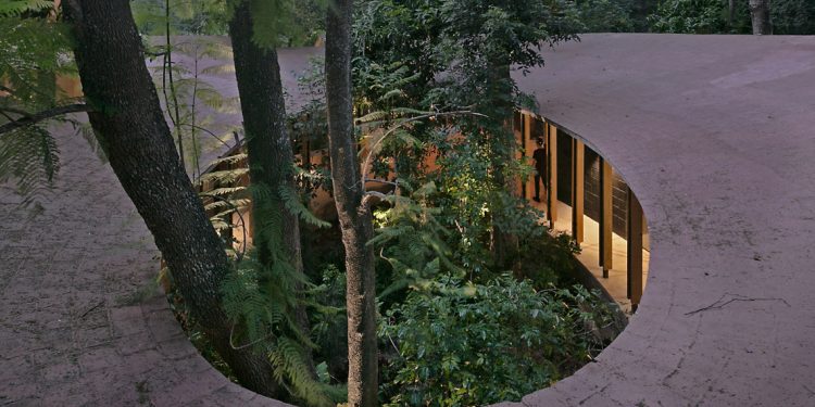 Lạc bước vào biệt thự Amacueca House giữa rừng - 13