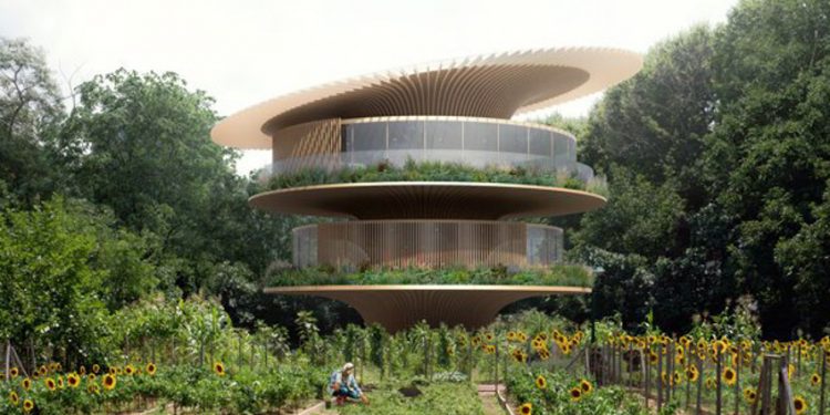 Ngôi nhà hoa hướng dương - 8