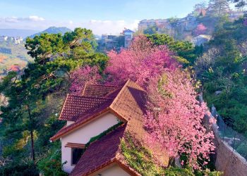 Ngôi nhà đẹp như cổ tích giữa lưng chừng đồi ở Đà Lạt-01