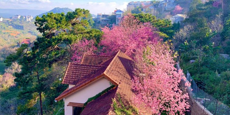 Ngôi nhà đẹp như cổ tích giữa lưng chừng đồi ở Đà Lạt-01