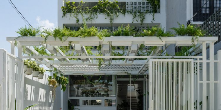 Ngôi nhà tràn ngập thiên nhiên, mang ánh sáng và không khí tự nhiên vào nhà