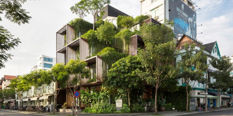 Văn phòng Tony Fruit – Khối xanh khuyết giữa lòng đô thị