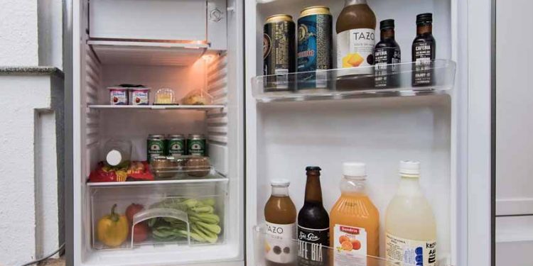 Bao lâu mới được cắm lại sau khi rút dây điện tủ lạnh? - 2