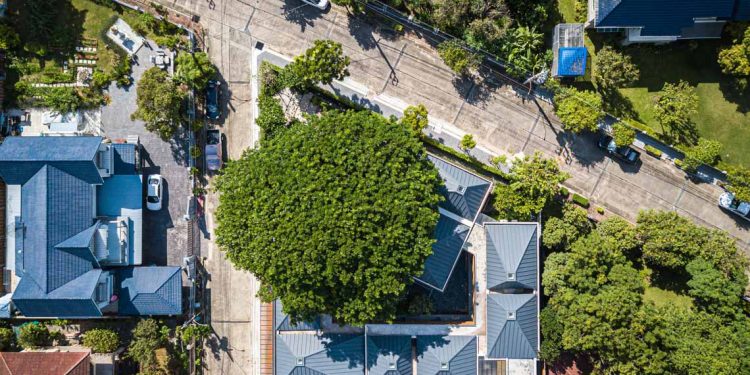 Ngôi nhà dưới bóng cây - 1