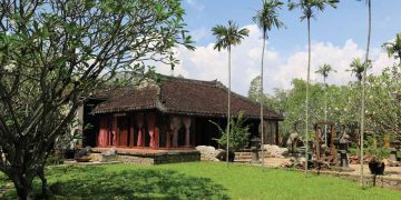 Từ trung cung đến phân cung - 10