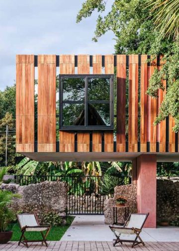 Cây cổ thụ bên trong ngôi nhà nghỉ dưỡng ở Mexico - 1