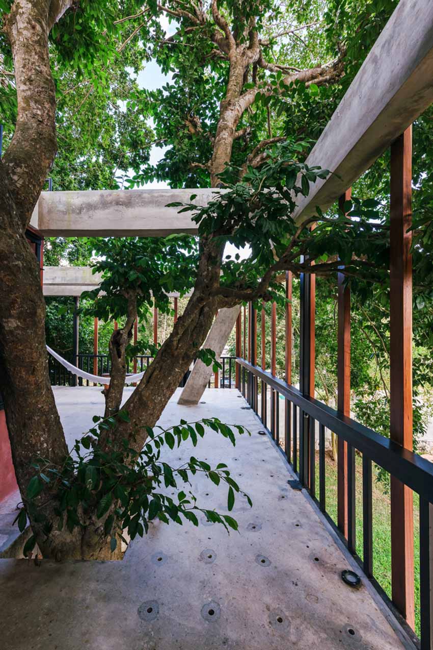 Cây cổ thụ bên trong ngôi nhà nghỉ dưỡng ở Mexico - 29
