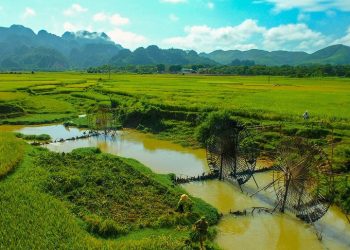 Nhịp sống như thơ ở bản Hoa Tiến