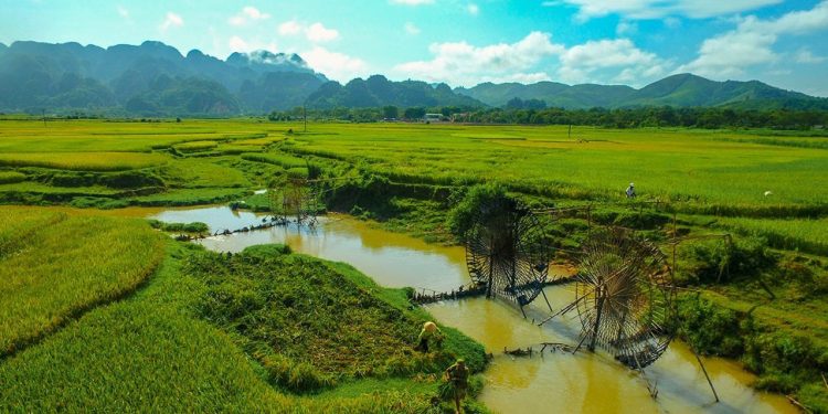 Nhịp sống như thơ ở bản Hoa Tiến