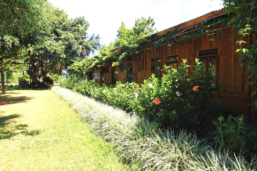 Bình yên bên núi đồi