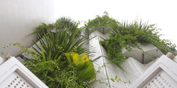 Ngôi nhà với mặt tiền độc đáo, ngoài đóng - trong mở tại Phan Rang - 22