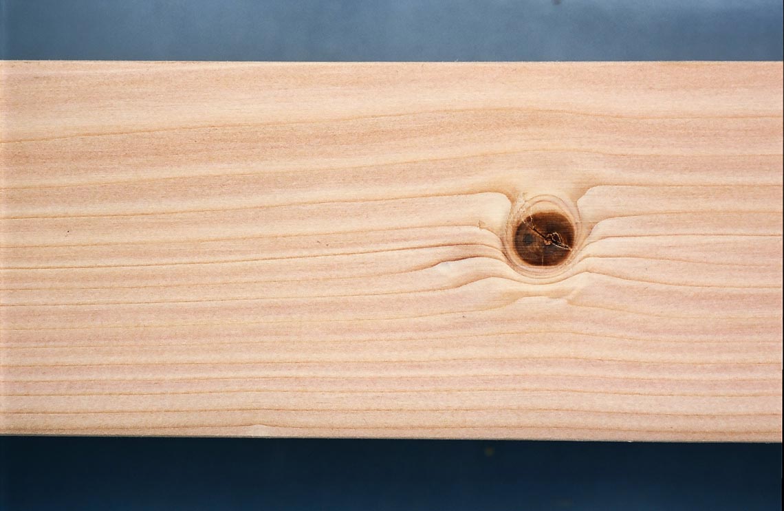 Canadian Wood – Cầu nối đưa gỗ mềm Canada đến tay nhà sản xuất Việt - 2