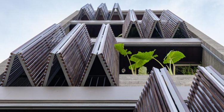 Chic & Vid House - Sức nặng của sự đơn giản - 5