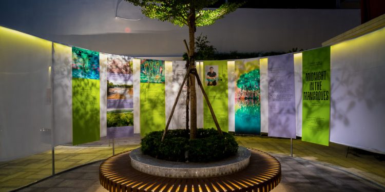 Không gian triển lãm Midnight in the mangroves