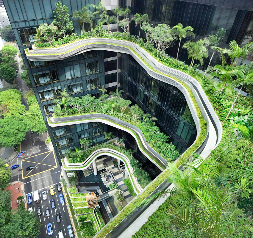 Xu hướng thiết kế Biophilic Design – Sống cùng với thiên nhiên
