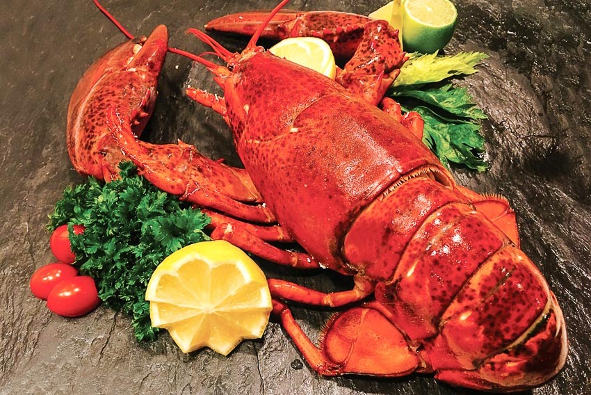 Chương trình “It’s All Greek to Me” tại Khách sạn Equatorial