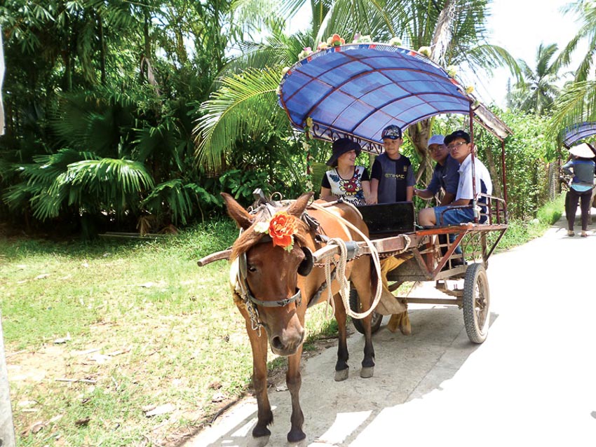 Dạo chơi miệt Tân Thạch, Bến Tre bằng xe ngựa