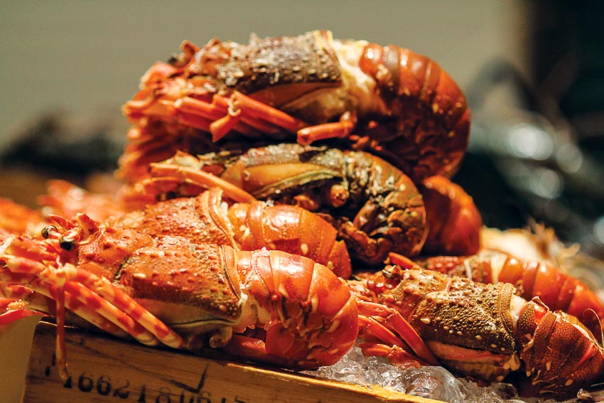 Giảm giá 50% món cua xốt ớt tại Nhà hàng Tung Garden