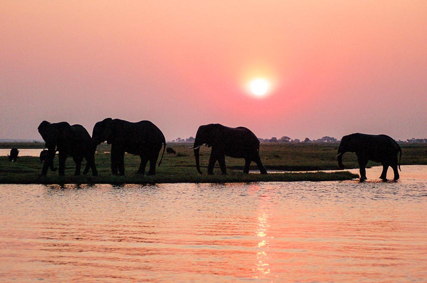 Trải nghiệm thiên nhiên hoang dã ở Okavango