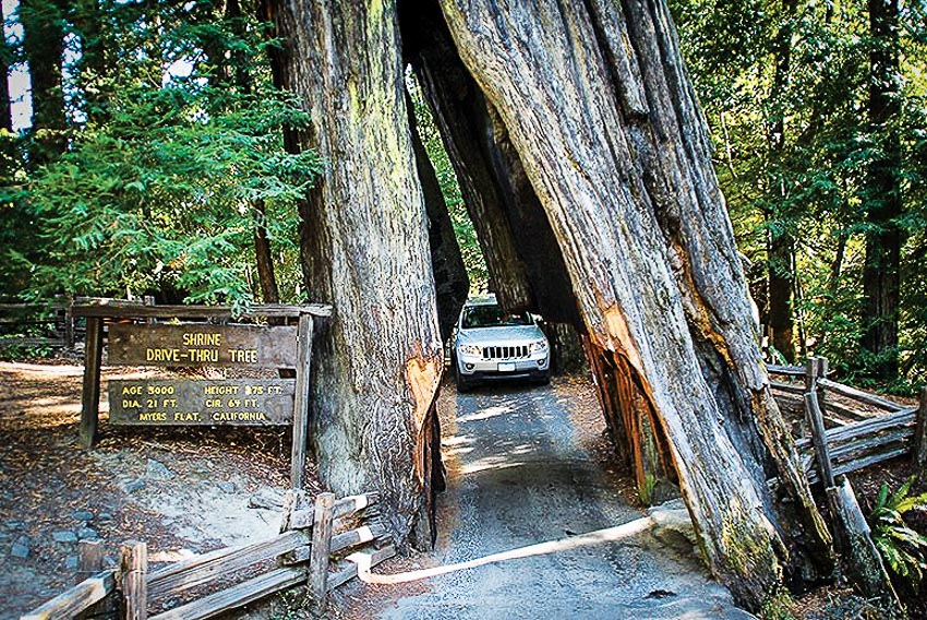 Caravan chinh phục bờ Tây nước Mỹ