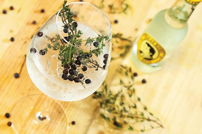 Hương vị trái cây tuyệt diệu với Gin và Tonic