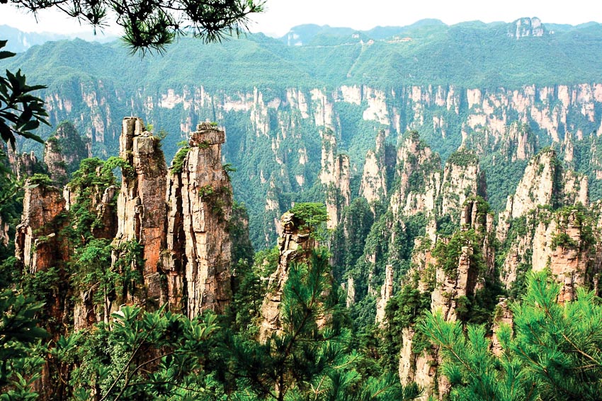 Nhiều tour hấp dẫn của Liên bang Traveling