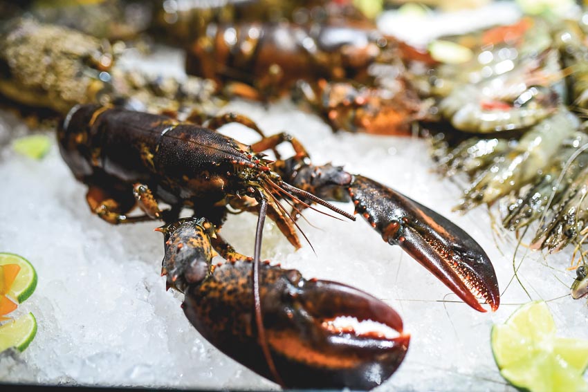 Buffet tối hải sản thịnh soạn tại Nhà hàng Saigon Kitchen