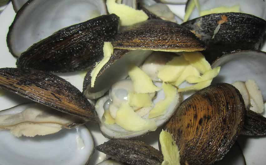 Vọp cù lao Dung - món ngon miền sông nước