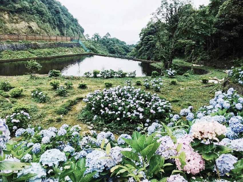 rung-quoc-gia-phia-oac