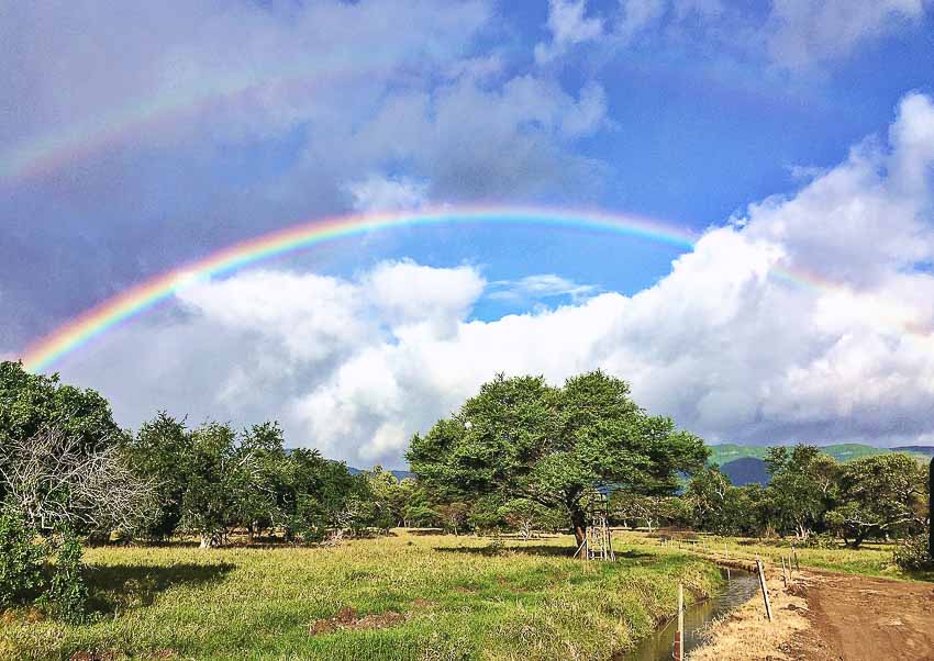 Đến thăm thiên đường rực rỡ Mauritius