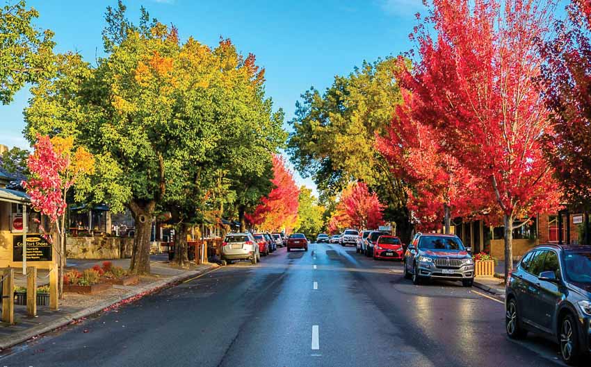 DN768-thanh-pho-Adelaide-cua-tieu-bang-nam-uc-DDDT-2018-3