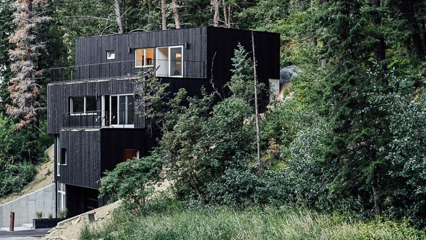 TreeHaus-khong-gian-song-giua-thien-nhien-1