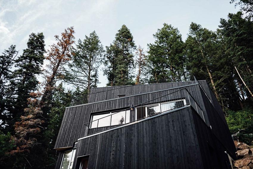 TreeHaus-khong-gian-song-giua-thien-nhien-2