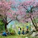 du-lich-tay-bac-nhung-mua-hoa