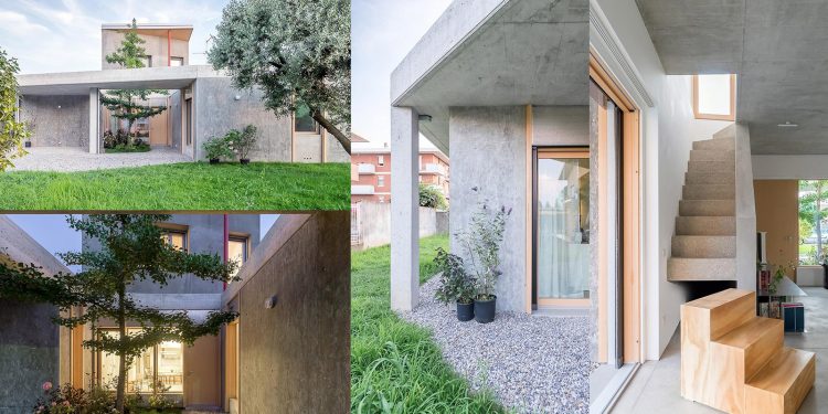 Không gian sống tối giản trong ốc đảo xanh ở ngoại ô