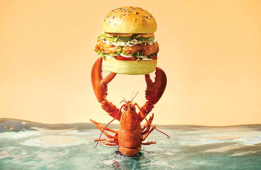 burger-tom-hum-Canada