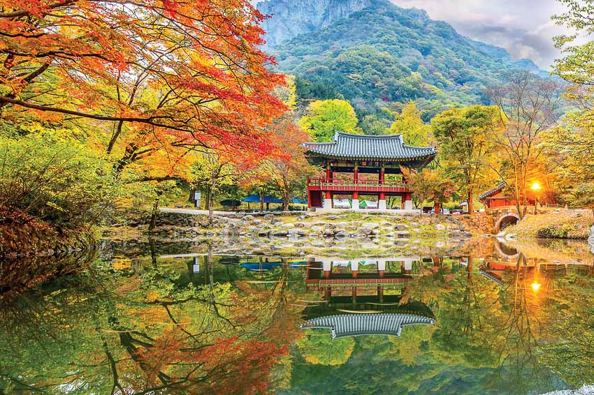 thong-dong-ngam-sac-thu-Han