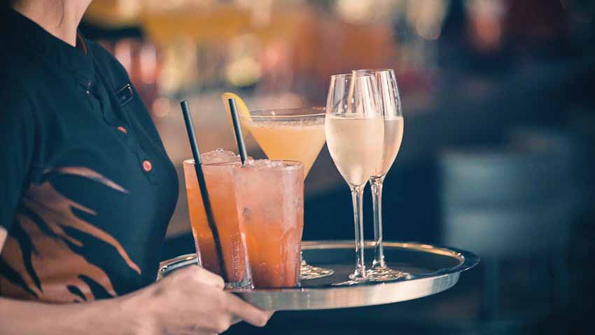 DNP772-vang-ngon-tai-Maddie