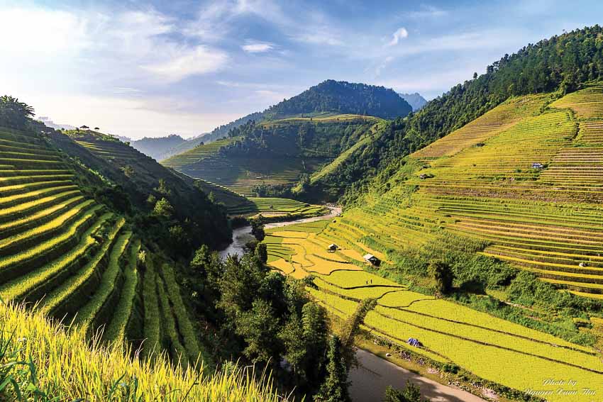 DNP773-Tay-Bac-mua-lua-chin-tin DDDL-2018