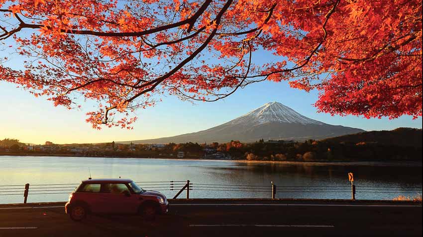 DNP773-la-phong-nhuom-do-xu-Phu-Tang-TinDDDL-2018