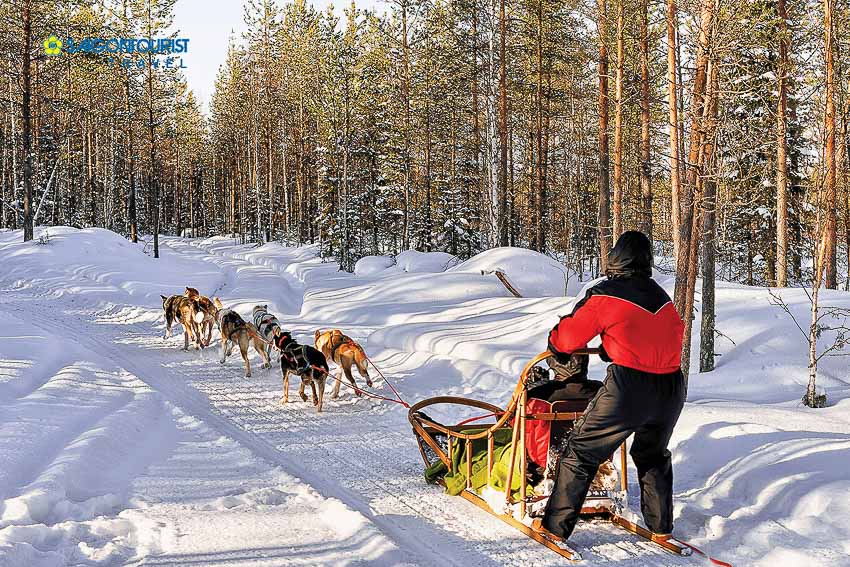 DNP773-len cuc-tay-bac-nuoc-Nga-san-Bac-cuc-quang-tin DDDL-2018