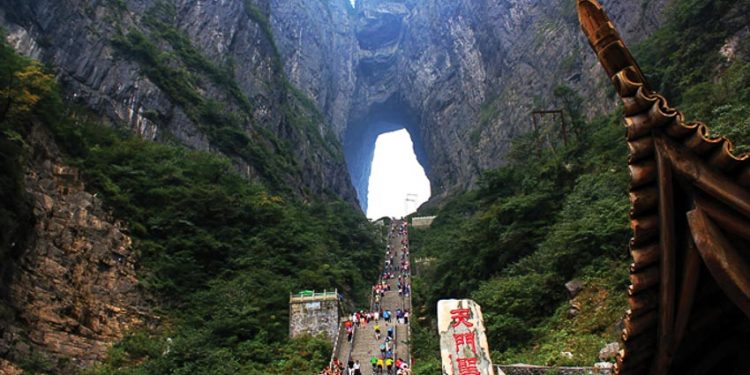 Truong-Gia-Gioi-Phuong-Hoang-Co-Tran