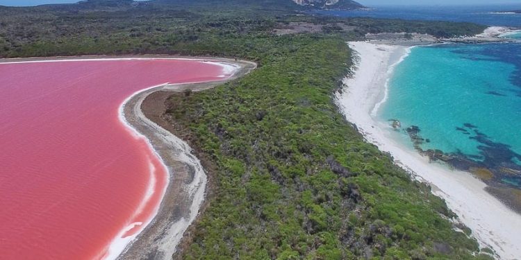 DNP774-nhung-cung-duong-ngoan-muc-tren-ban-sao-Eyre-nuoc-Uc-DDDT-2018-3