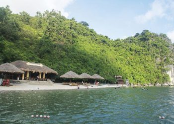 dao-Soi-Sim-diem-den-moi-trong-vinh-Ha-Long