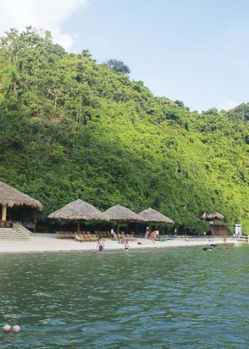 dao-Soi-Sim-diem-den-moi-trong-vinh-Ha-Long